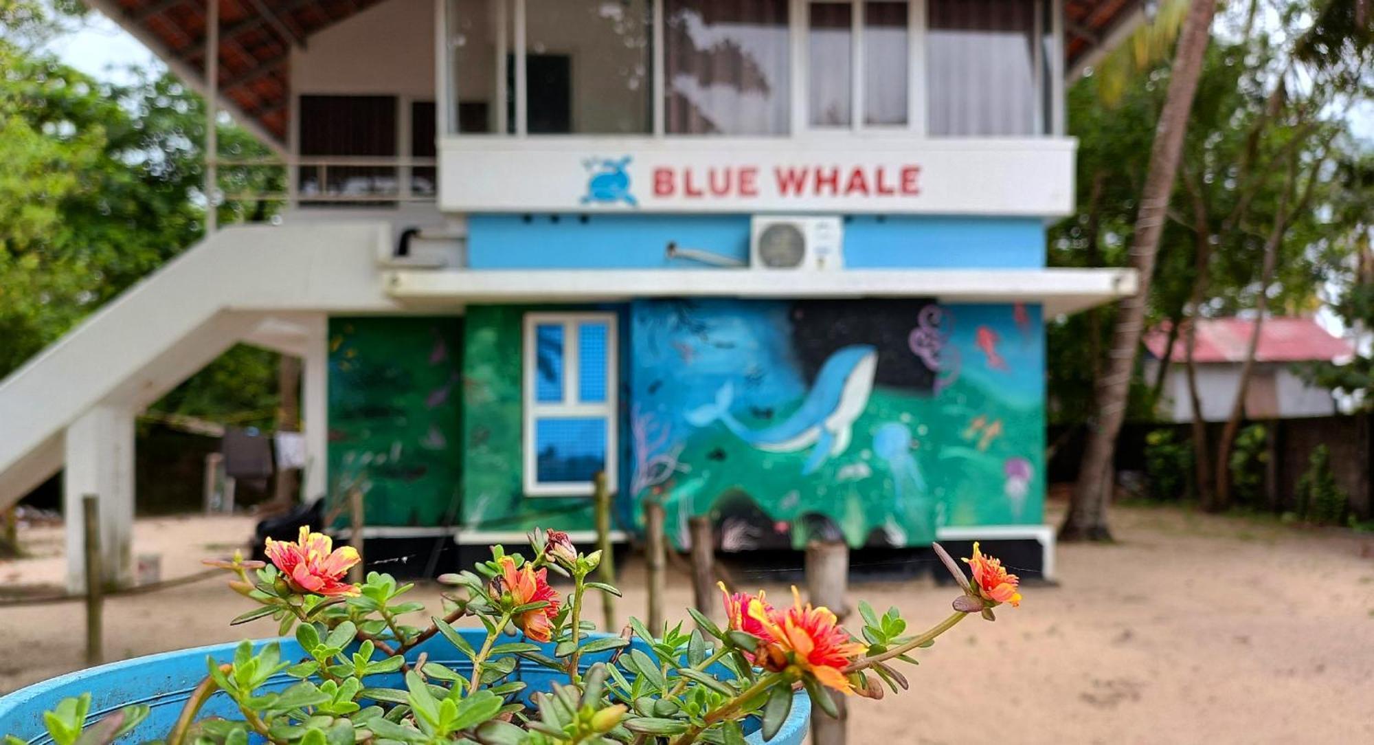Marari Blue Whale Beach House Alappuzha Dış mekan fotoğraf