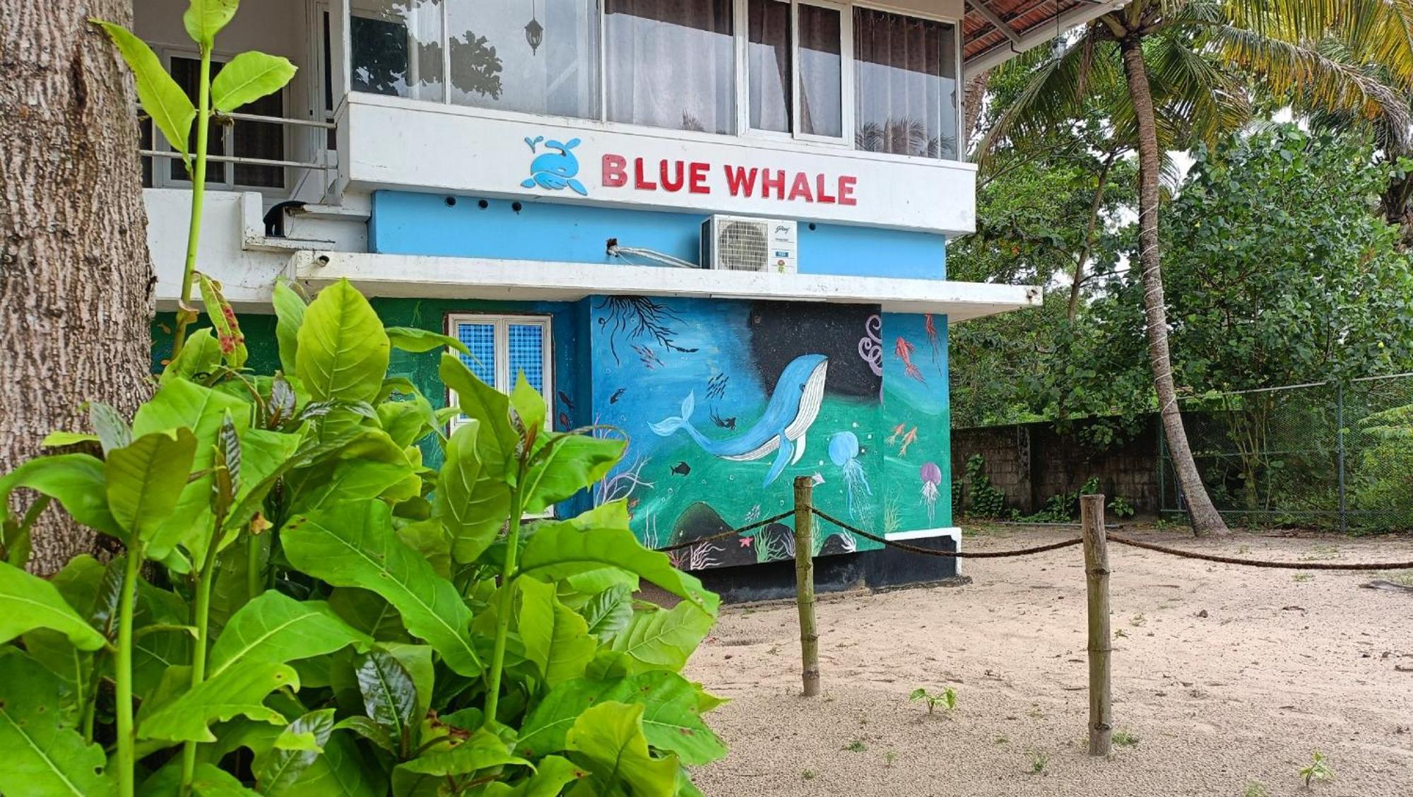 Marari Blue Whale Beach House Alappuzha Dış mekan fotoğraf